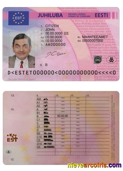 Estonia driving license